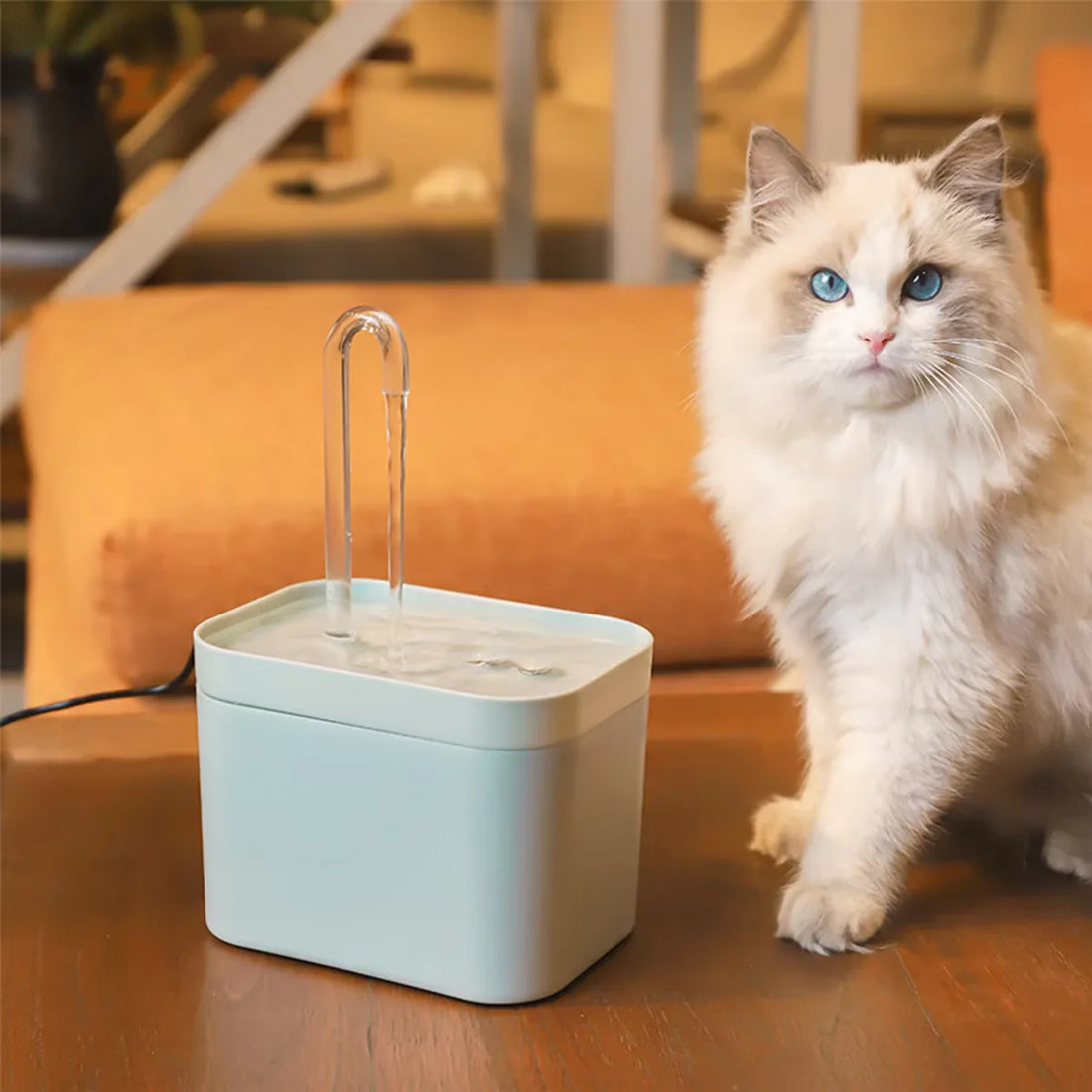 Providing Your Cat with Filtered, Recirculating Water: The Benefits of an Automatic Cat Water Fountain