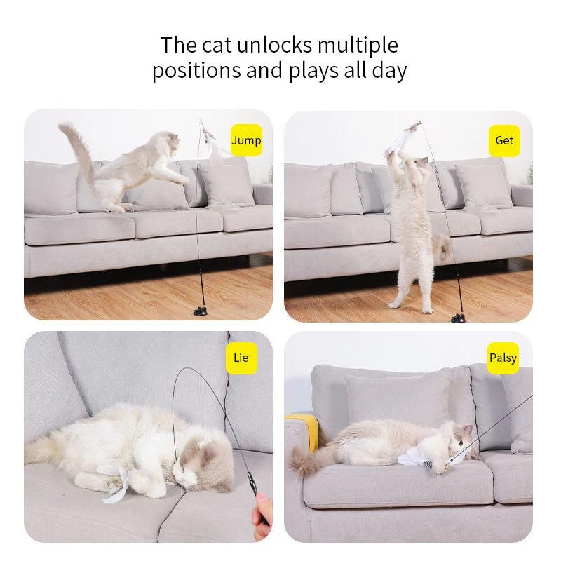 Interactive Cat Toy Set for Indoor And Handfree Cats - PET PORT 