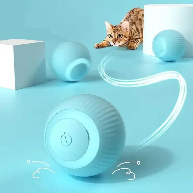 Pet Automatic Rolling Ball - PET PORT 