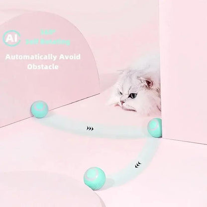 Pet Automatic Rolling Ball - PET PORT 