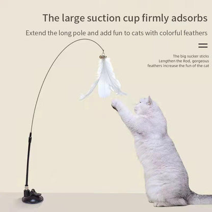 Interactive Cat Toy Set for Indoor And Handfree Cats - PET PORT 