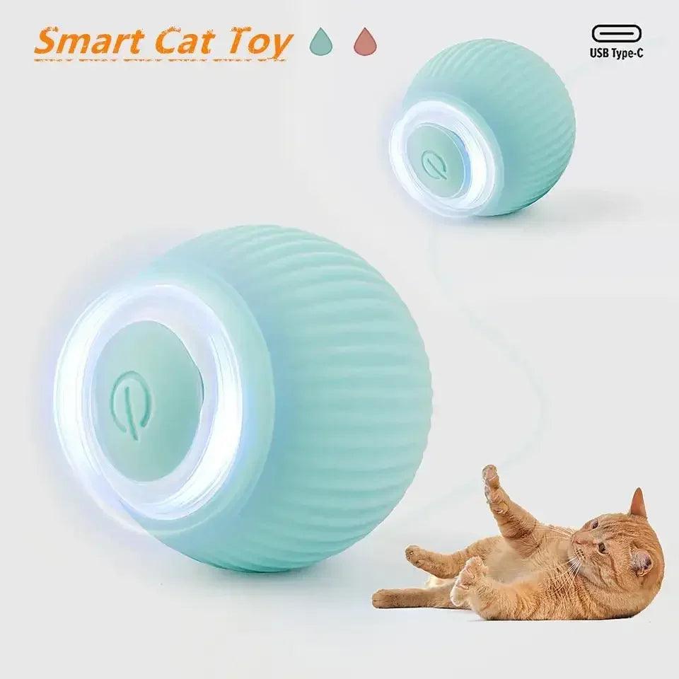 Pet Automatic Rolling Ball - PET PORT 